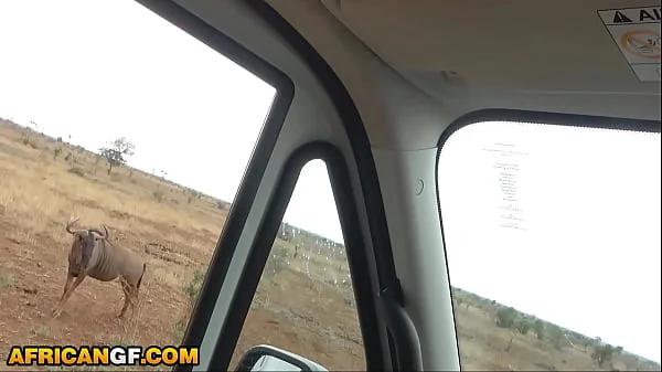 Beautiful Black Girlfriend Reaches Pussy Smashed Travelling Across African Wilderness