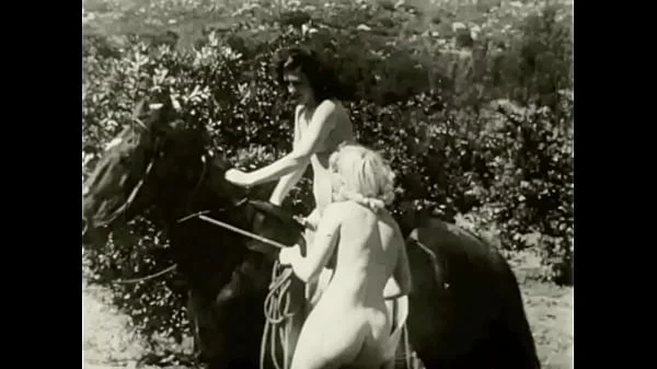 Vintage Taboo, Pussy & Pooch