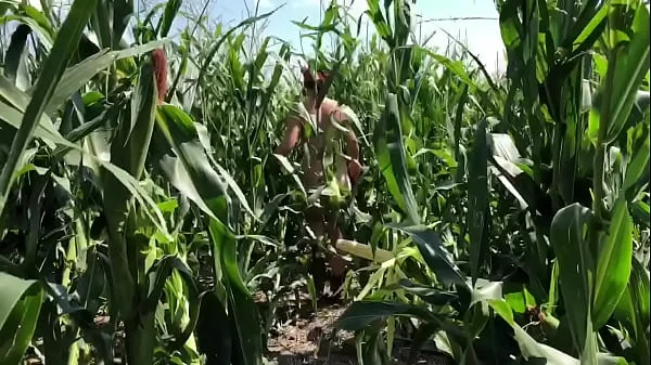 Riley Jacobs playing in corn field