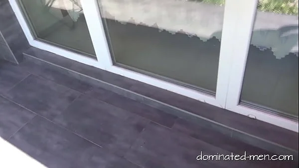 Doggy on the Leash